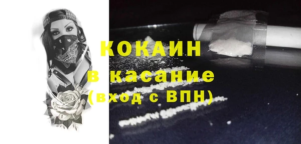 гидра Бородино