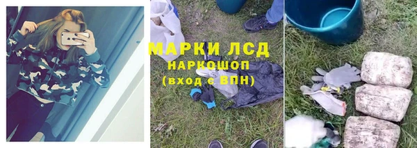 гидра Бородино