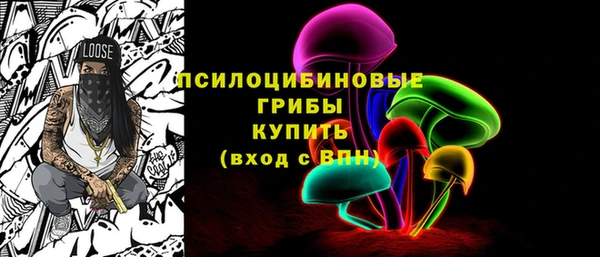 mdpv Богородск