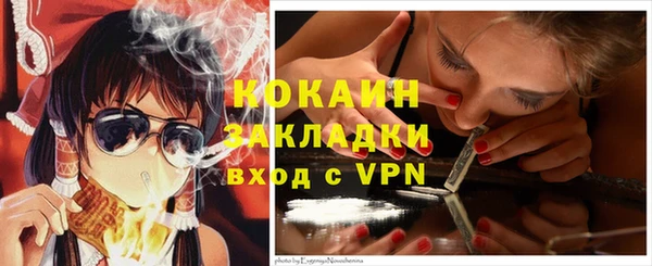 гидра Бородино