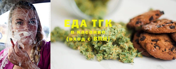 гидра Бородино