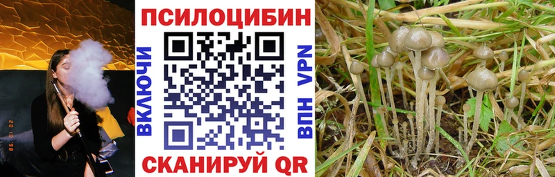 Галлюциногенные грибы Psilocybe гидра ссылки Гвардейск